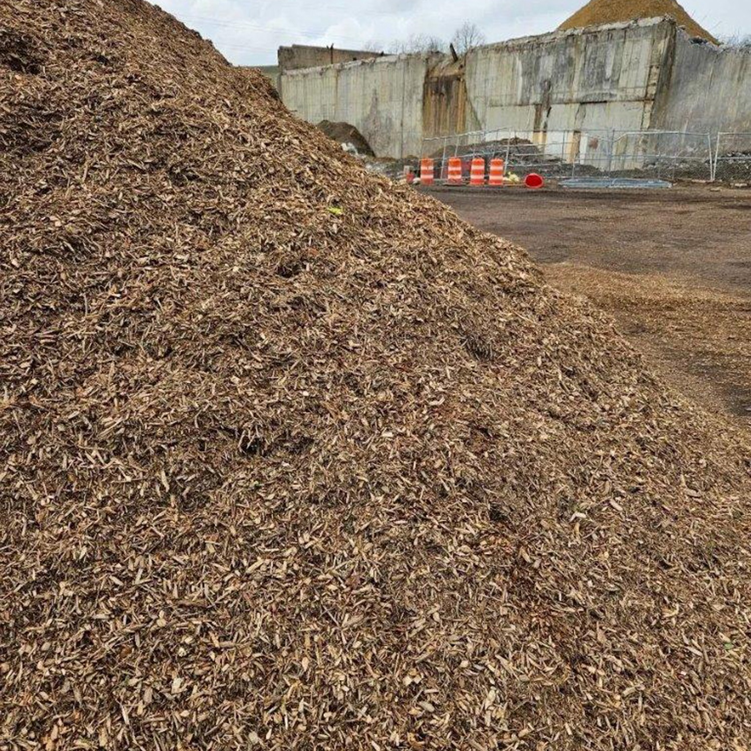 a pile of brown leaves