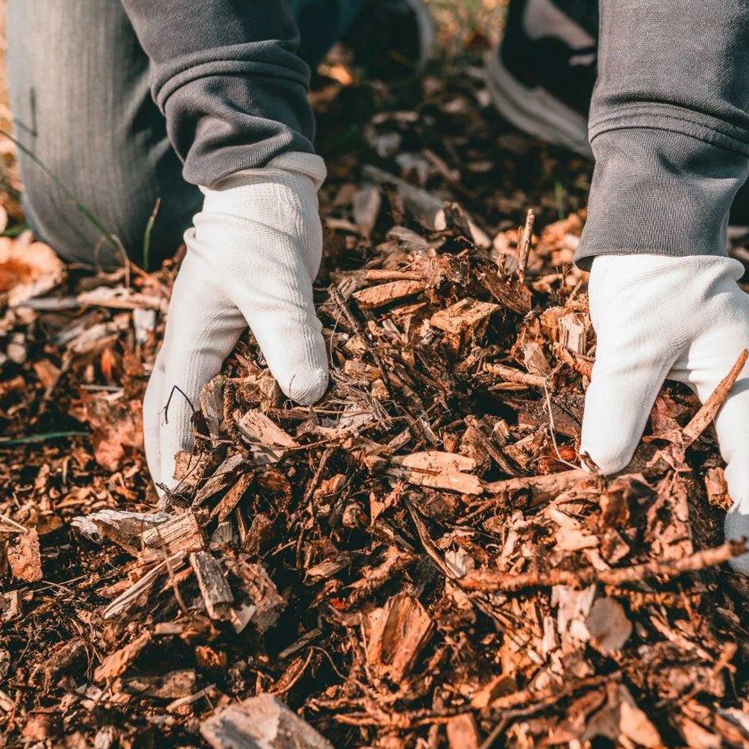 a person's hands in gloves holding a pile of wood chips